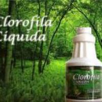 Propiedades de la clorofila