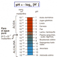 pH - Acido y alcalino