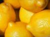 Plantas medicinales hemostáticas - Limones