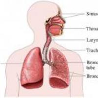 Información sobre Hipertensión pulmonar