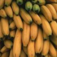 Plátanos - Propiedades