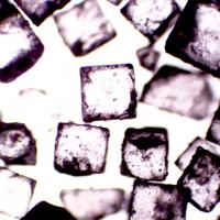 Cristales de sal al microscopio