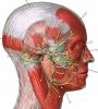 Causas y síntomas de neuralgia del trigémino